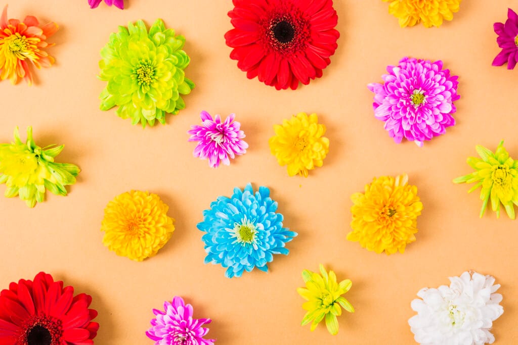 Kunstbloemen per kleur en symboliek